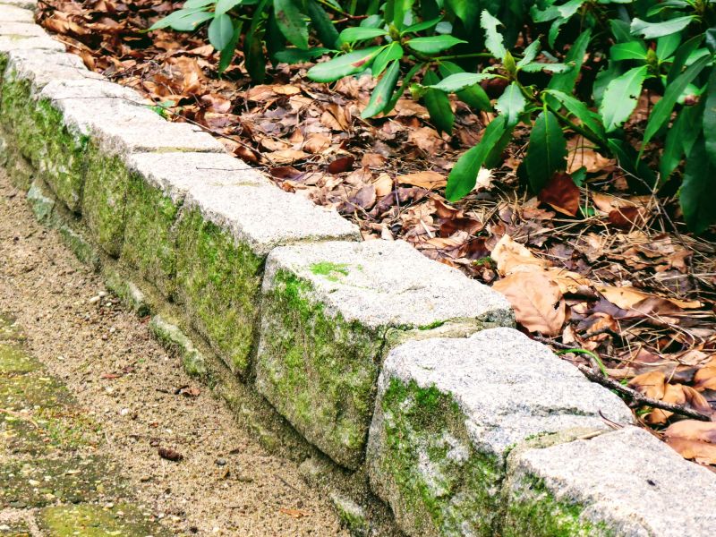 Decorative Curb Styles