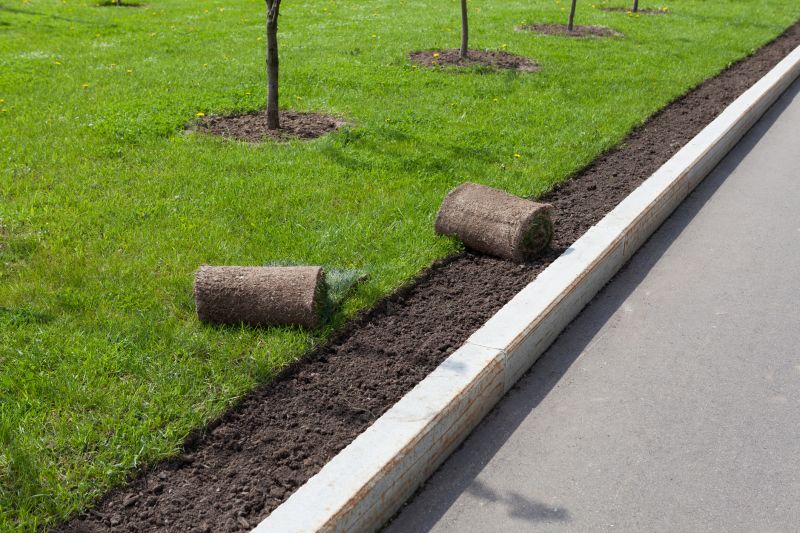 Spring Curb Installation